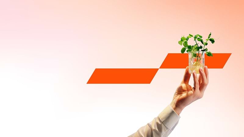 ESG Performance Ranking