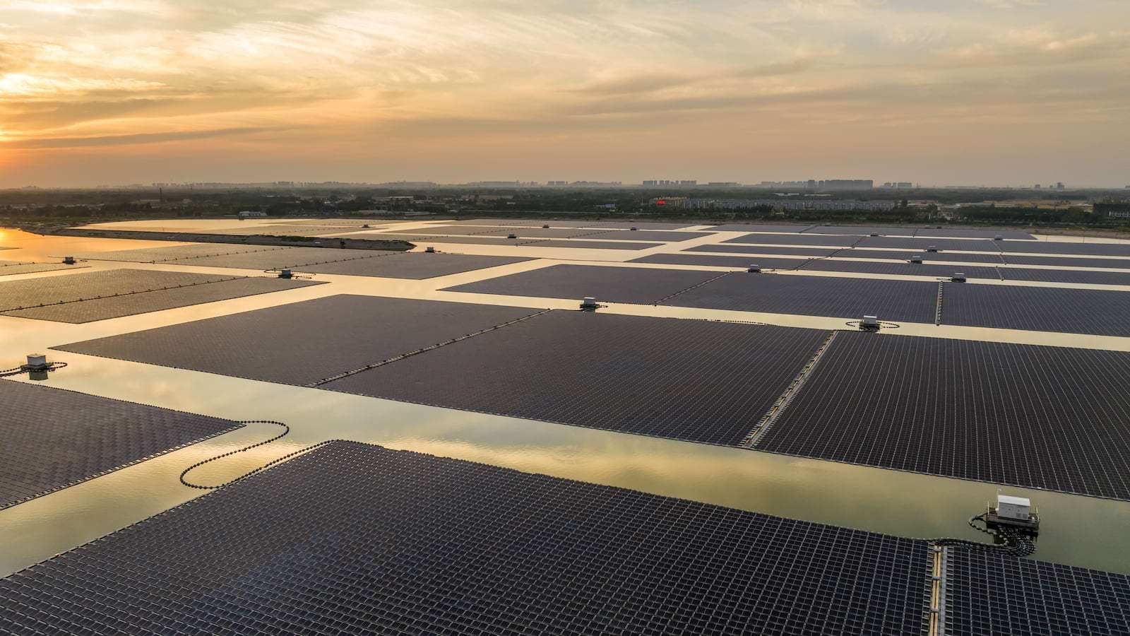 socially responsible