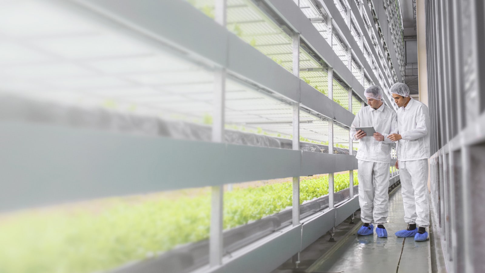 Two scientists working on an environmental project