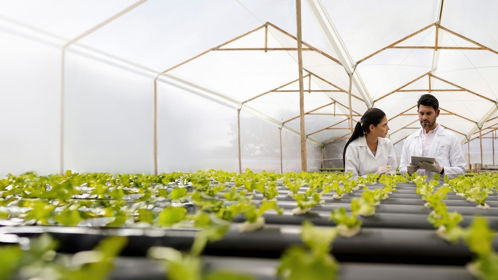 Sustainability under pressure