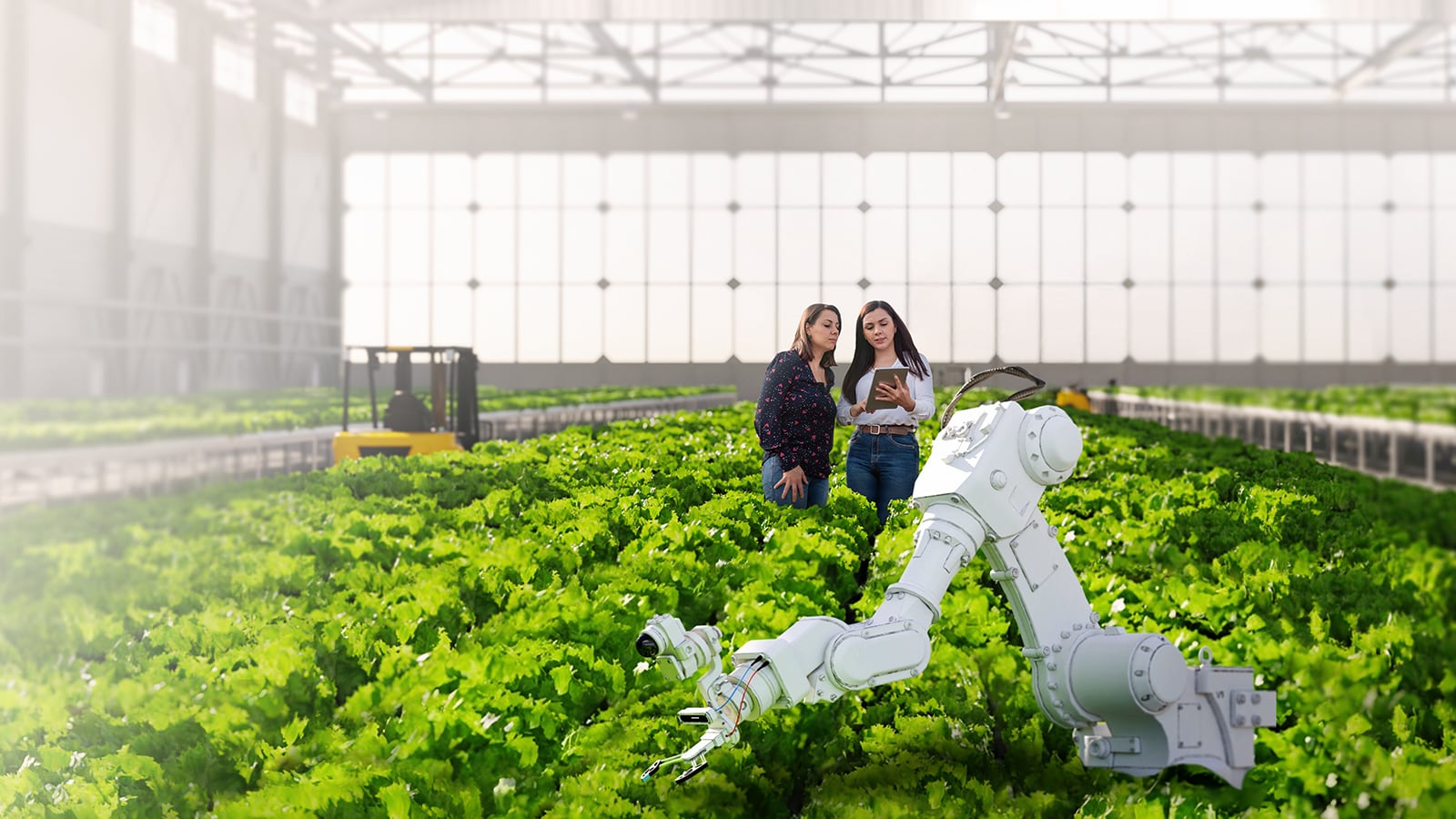 Agtech Innovation