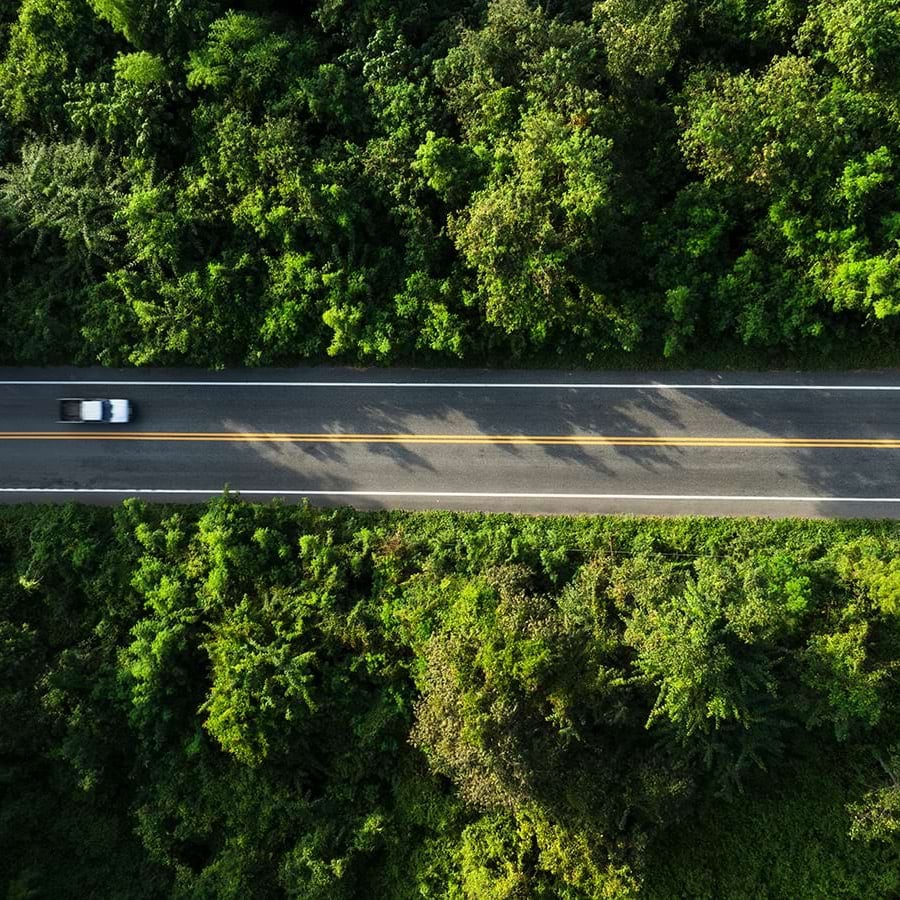 Serviços de Sustentabilidade - Finanças e Investimento Sustentável