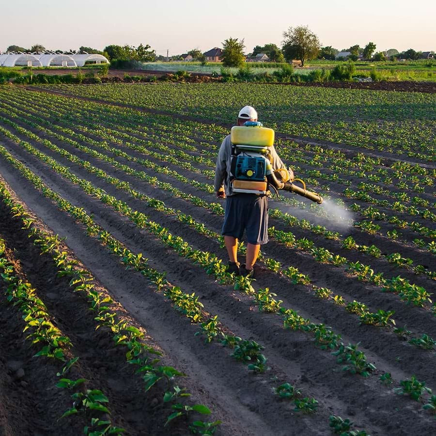 Immagine decorativa per la copertina della pagina food trust programme
