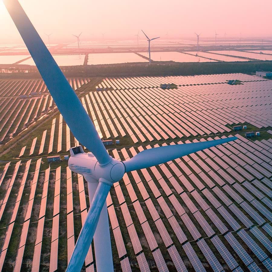 Serviços de Sustentabilidade - Sustentabilidade na Cadeia de Fornecedores