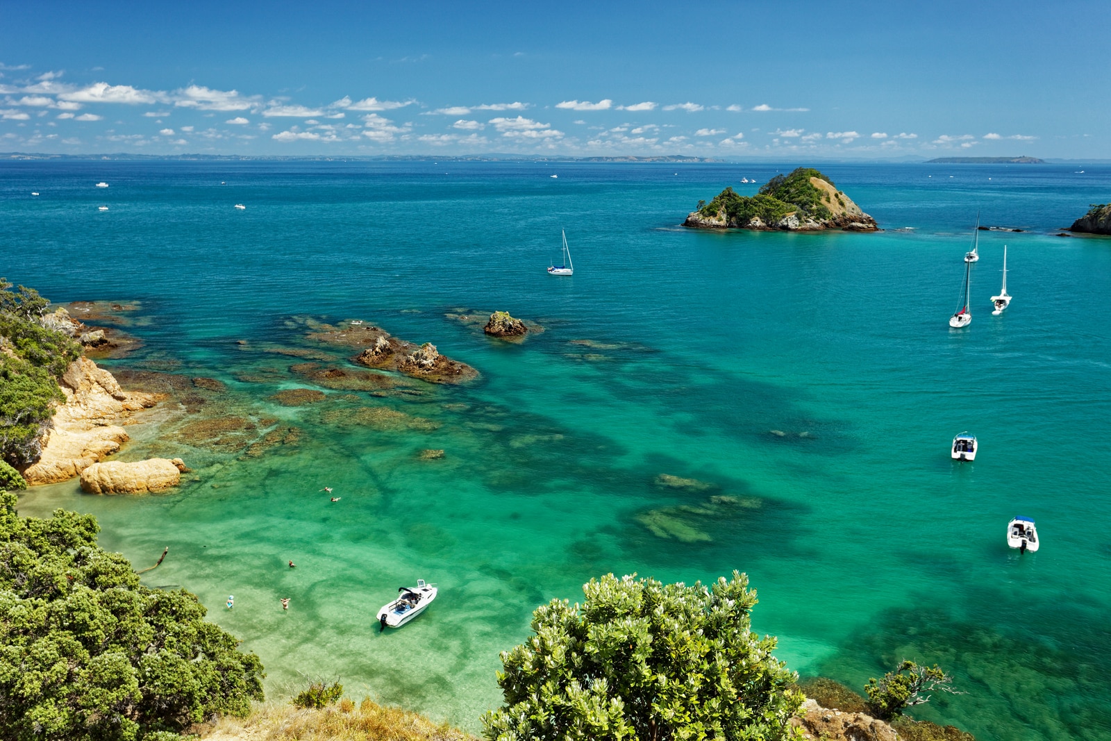 PwC Insight Experience / Survey Template Hero