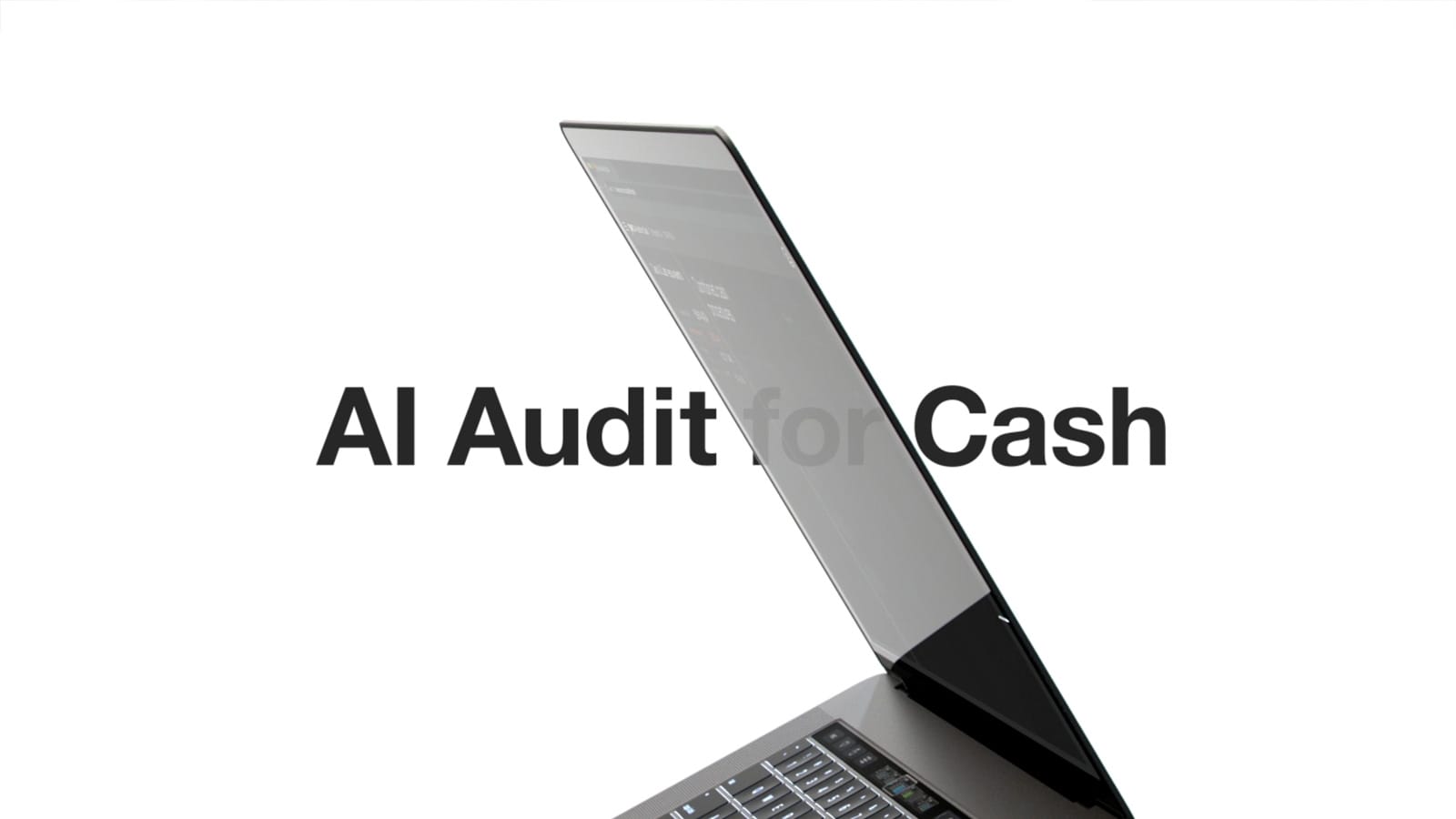 Cash and the audit