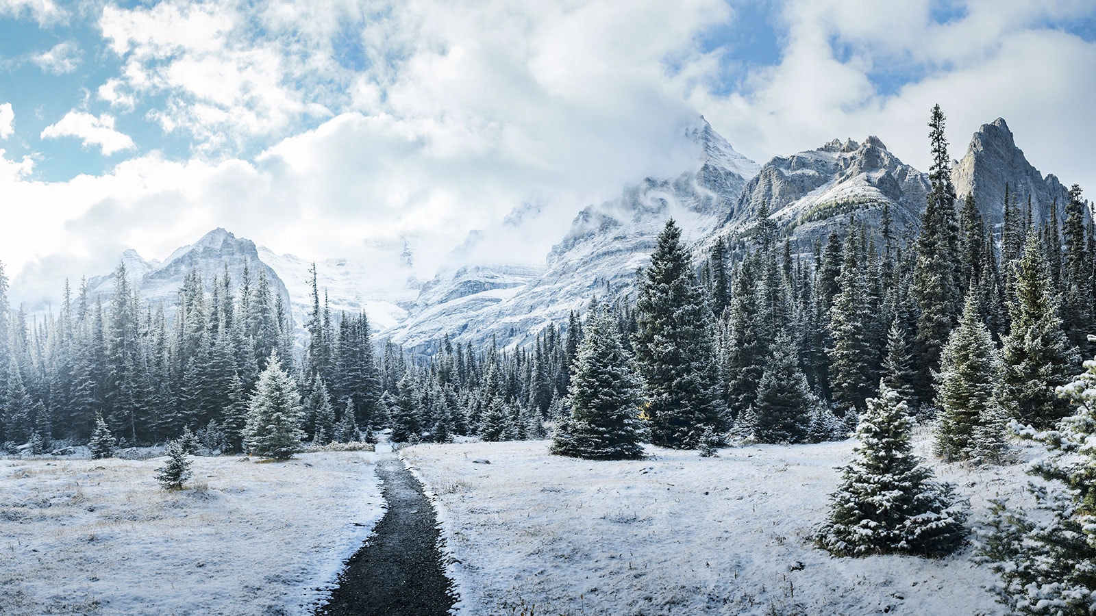 Temporada Invierno 2022-2023