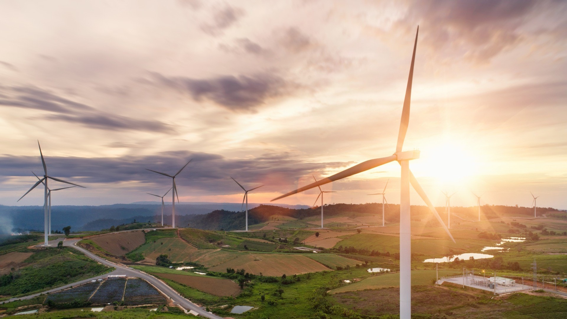 Wind turbines in field
