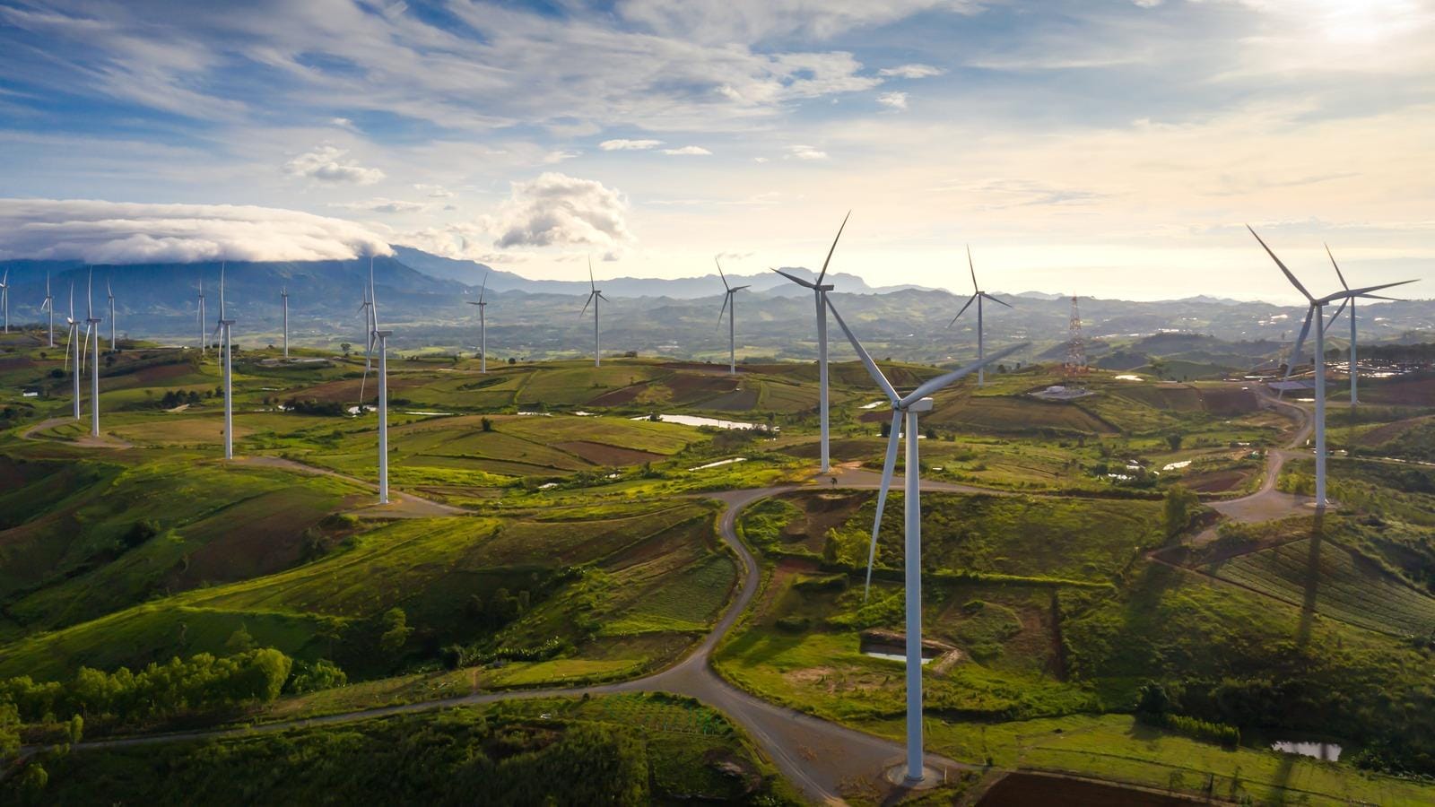 Environmental and green taxes