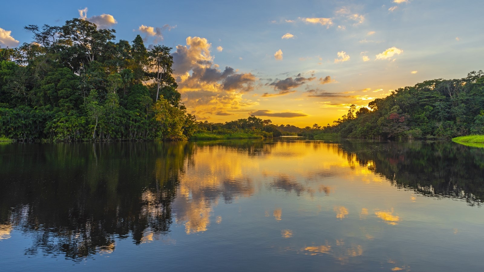 Lake at sunset with trees