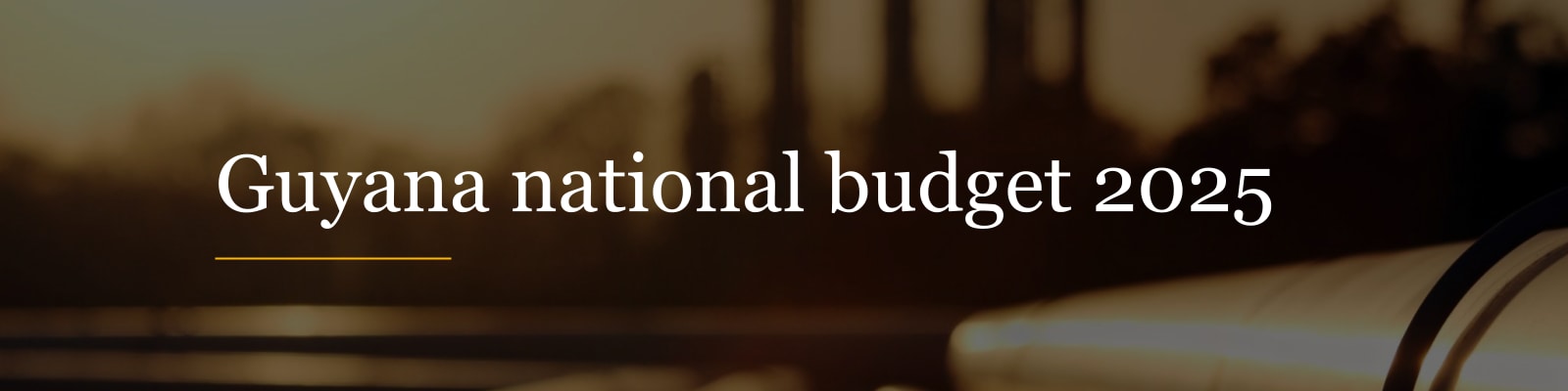 Guyana 2025 National Budget Commentary: PwC