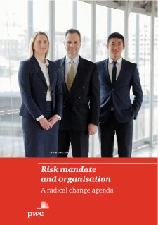 risk-mandate-and-organisation-report.pdf