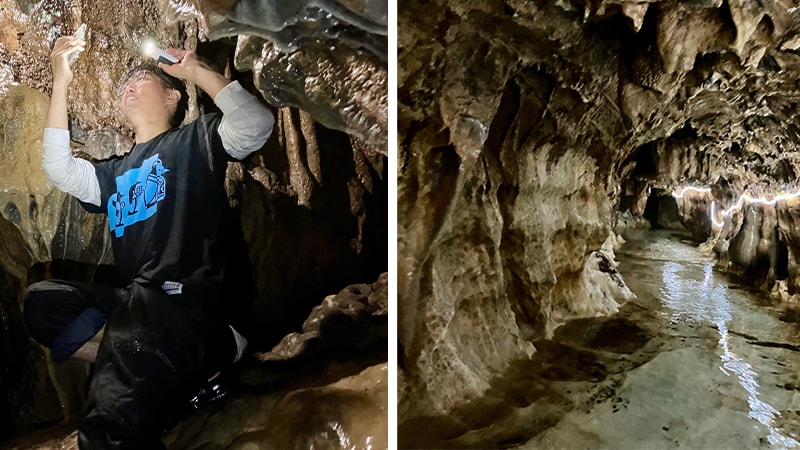 つながり」が生んだ、新たな観光体験―メタバース×地方創生の挑戦 | PwC