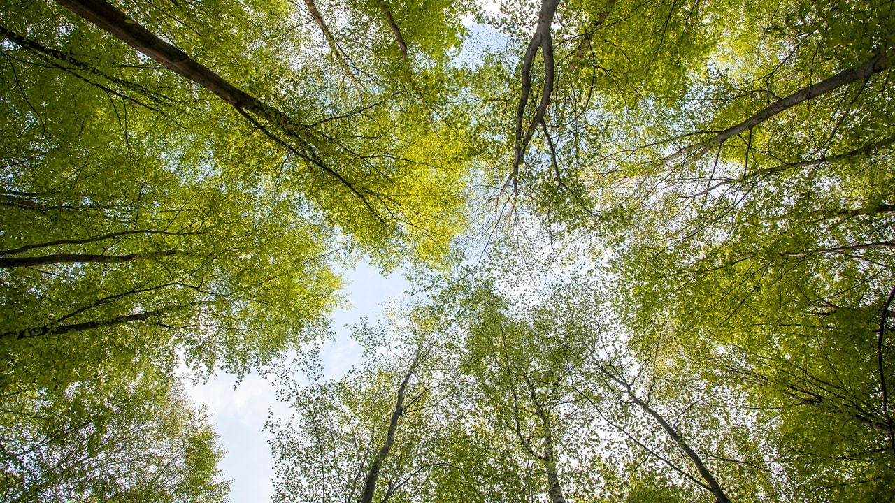 サステナビリティガバナンス体制の高度化