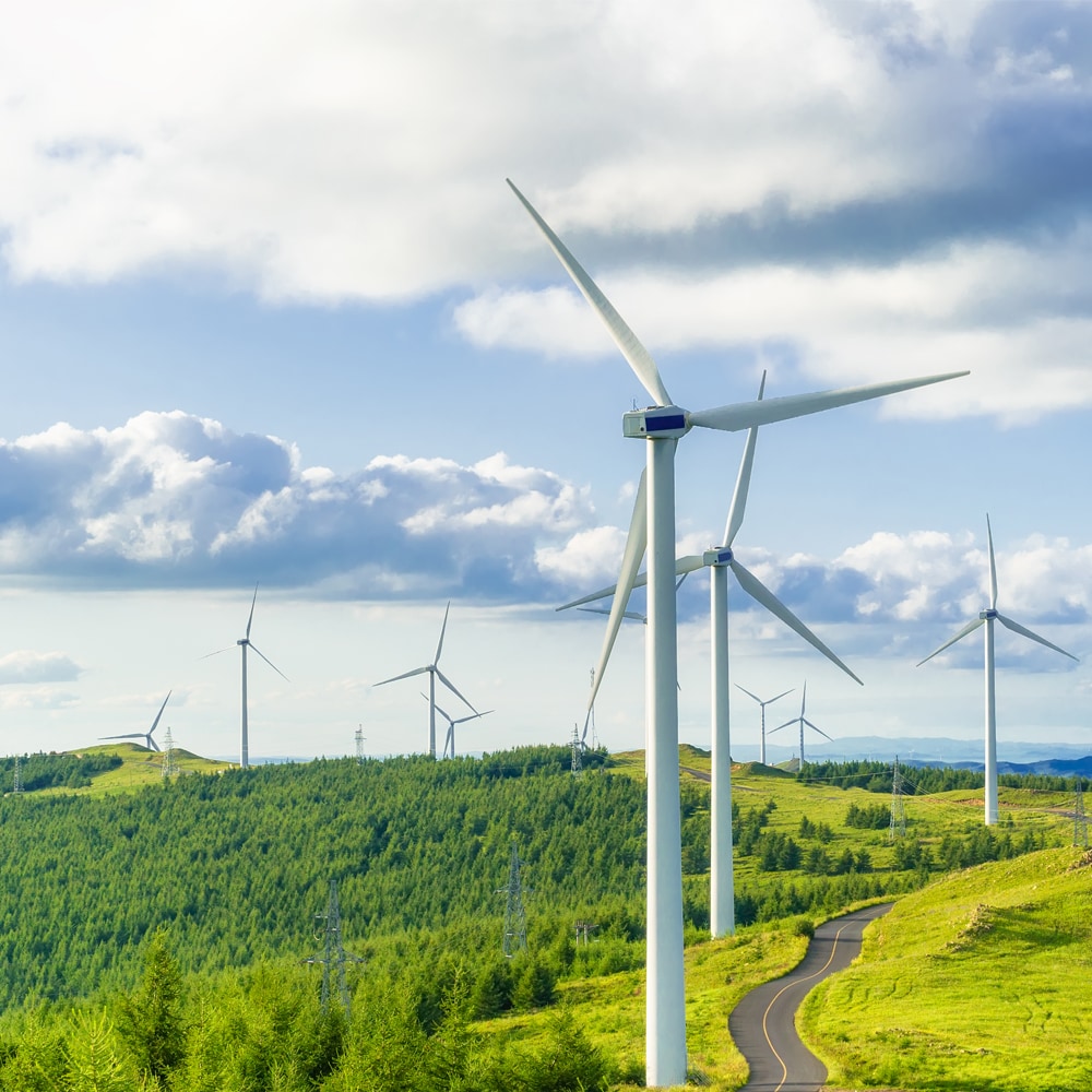 aaa