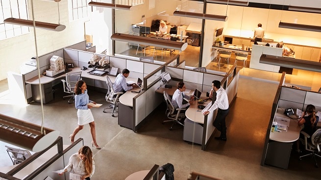 Workdayを活用した人材マネジメント変革支援 | PwC Japanグループ