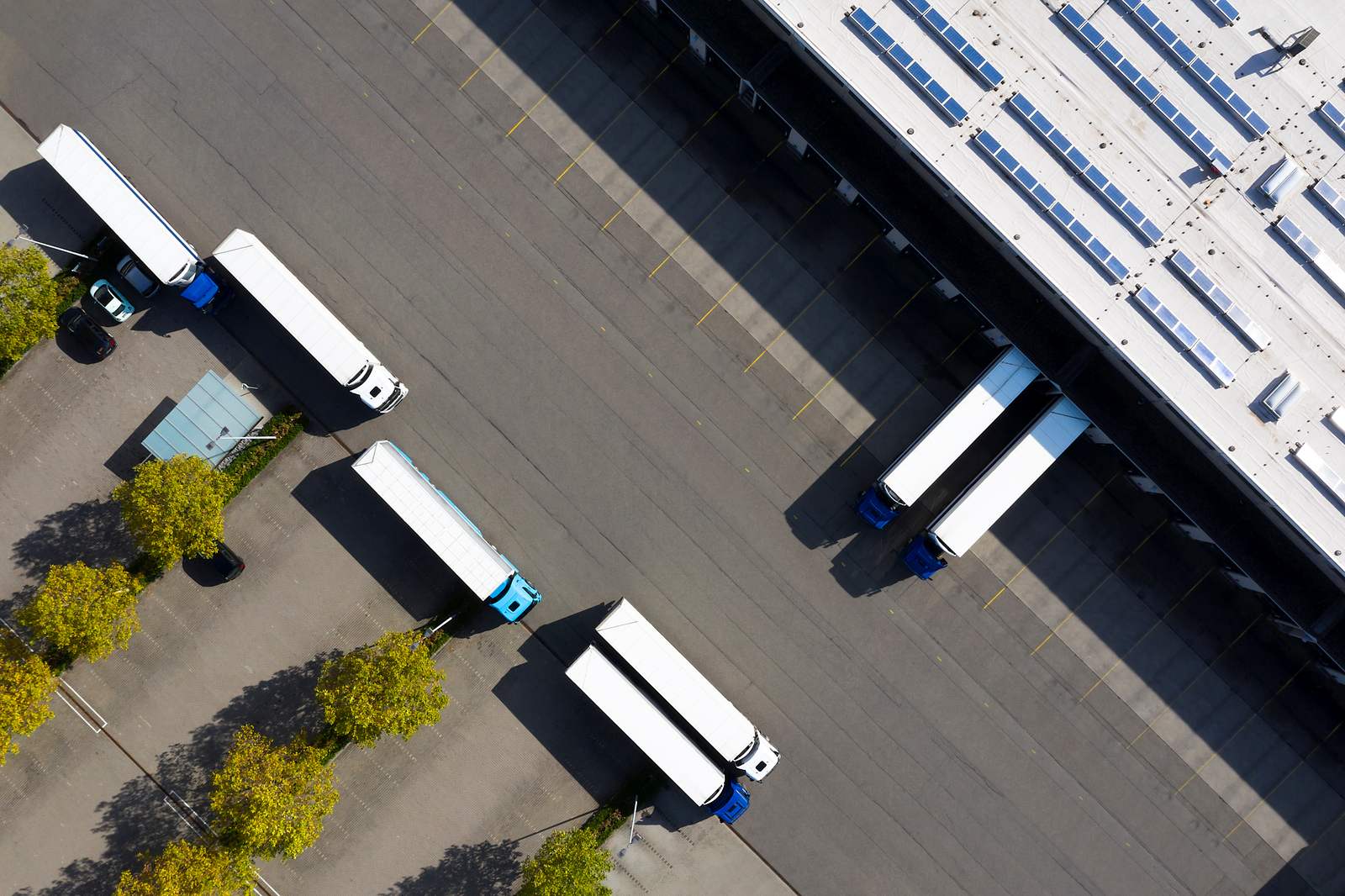 Special Economic Zone.