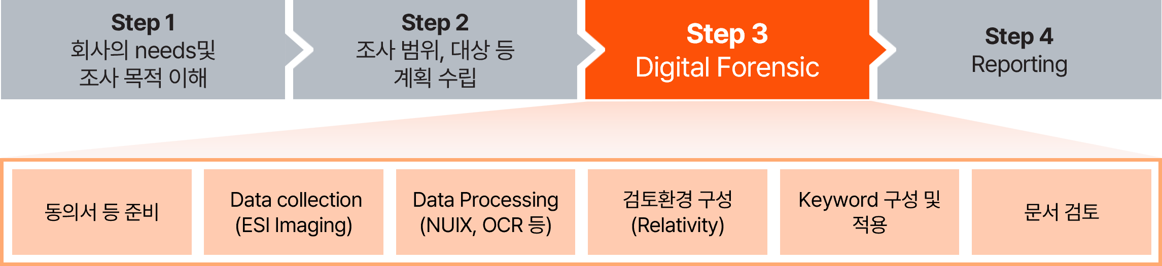 Digital Forensic Investigation | 삼일PwC