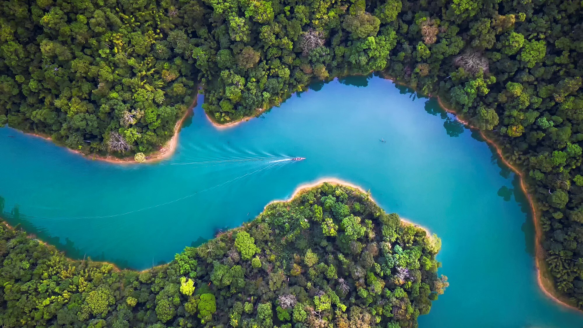 ТОП-50 лучших компаний по раскрытию ESG-информации 