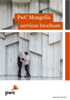 PwC services in Mongolia