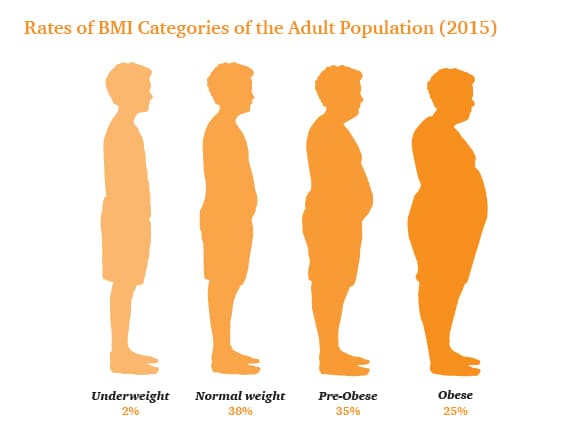 Weighing The Costs Of Obesity Pwc Malta