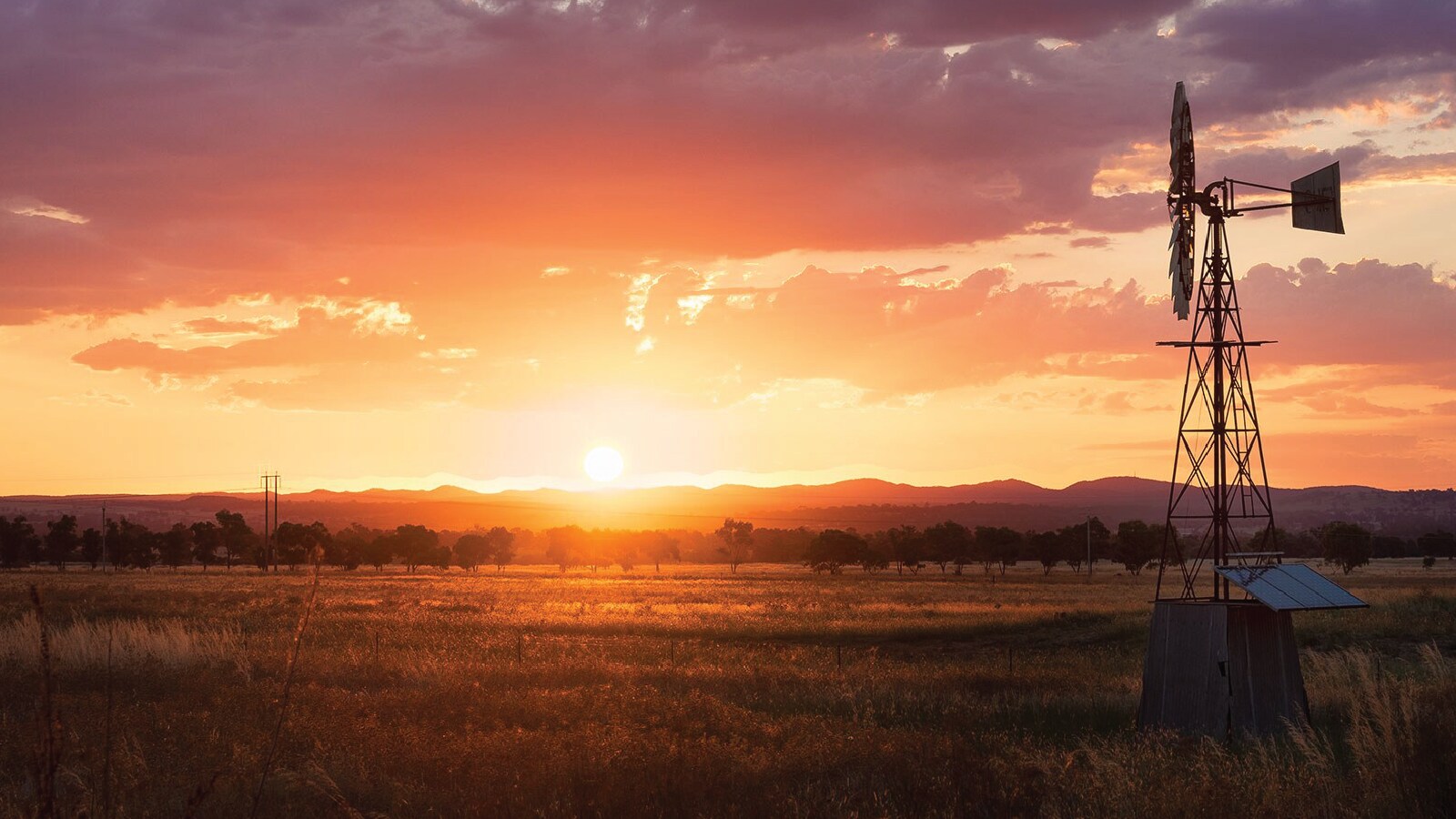 navigating carbon markets