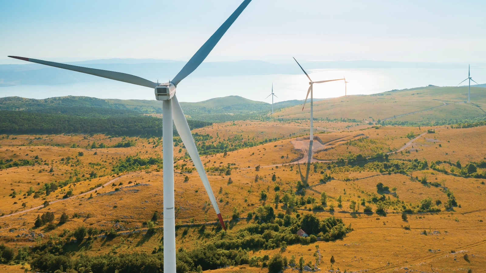 navigating carbon markets