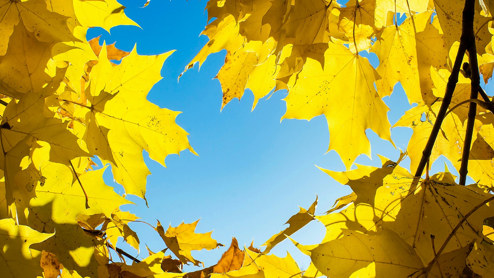 Understanding the CSRD Double Materiality Assessment Process