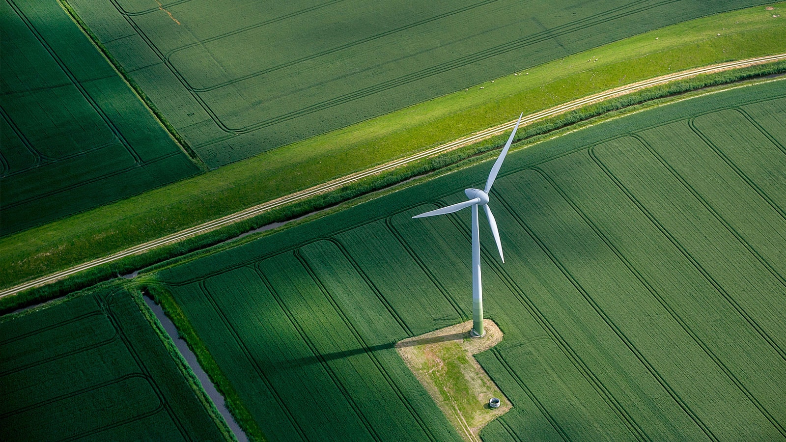 Impuestos ecológicos en México y su impacto en las organizaciones