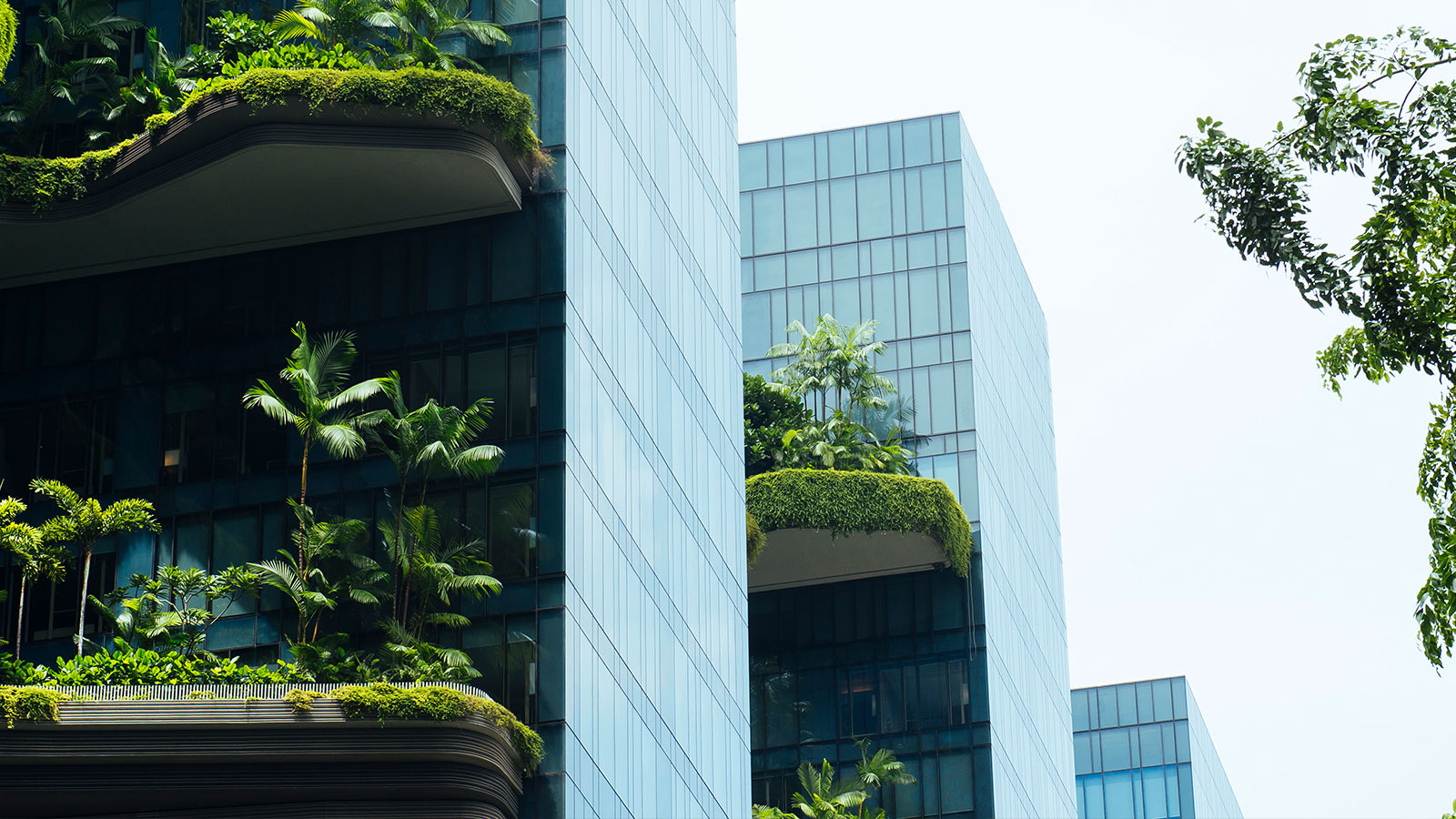 Sustentabilidad: el camino para crear valor a largo plazo