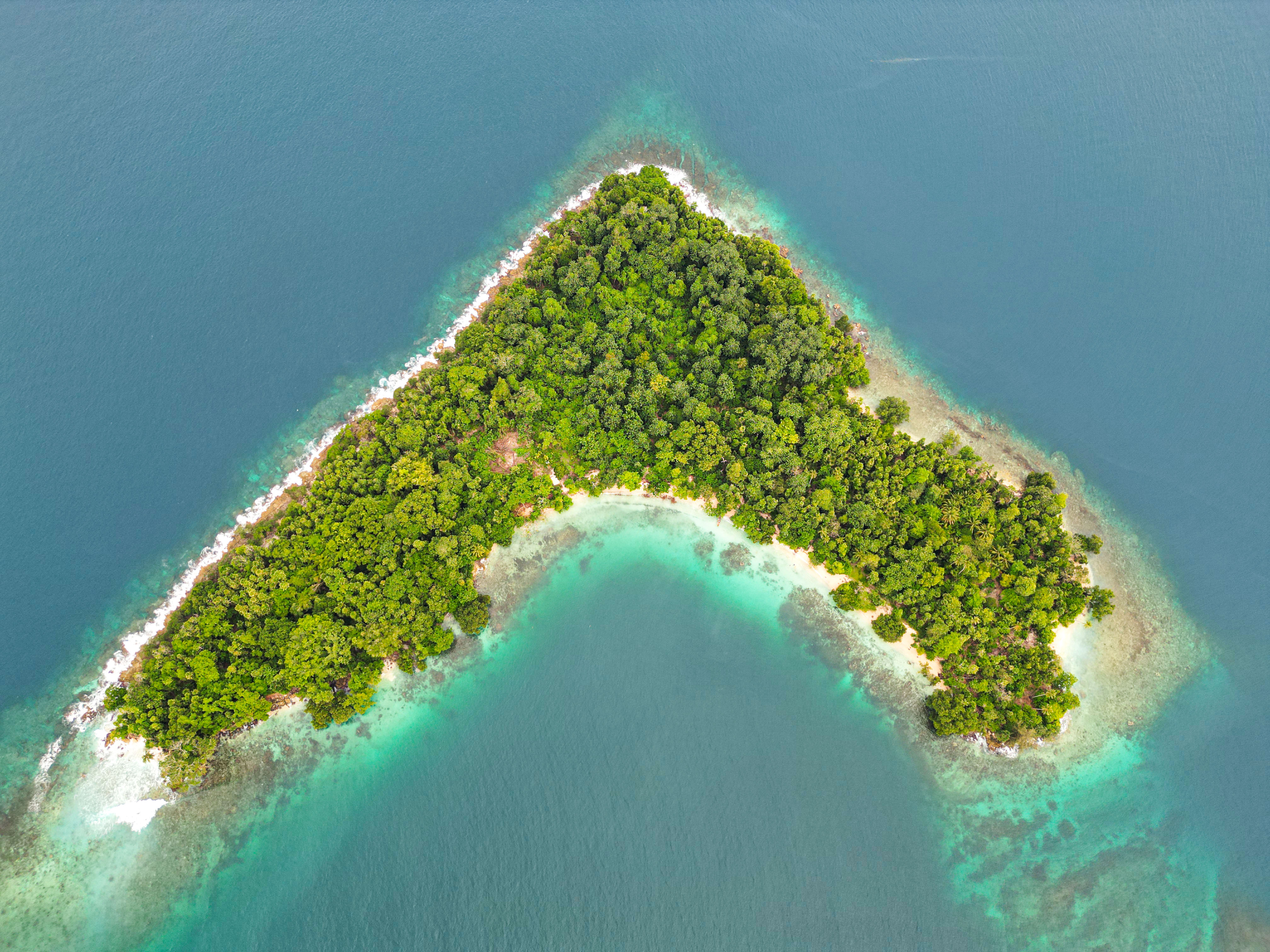 participants running in