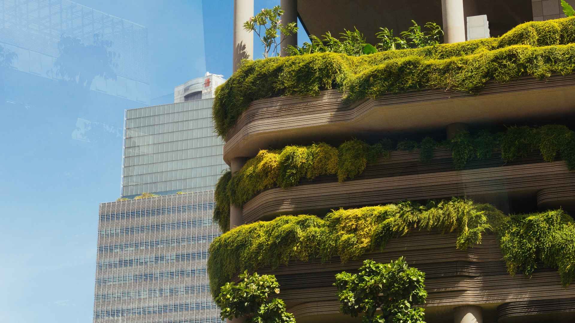 SkillsFuture Queen Bee Programme with PwC Singapore