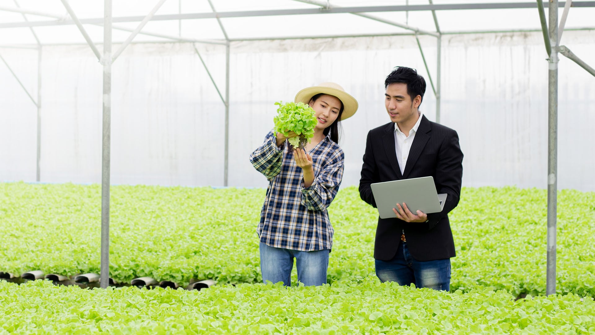 Woman holding vegetable with a man holding a digital device at a hi-tech farm