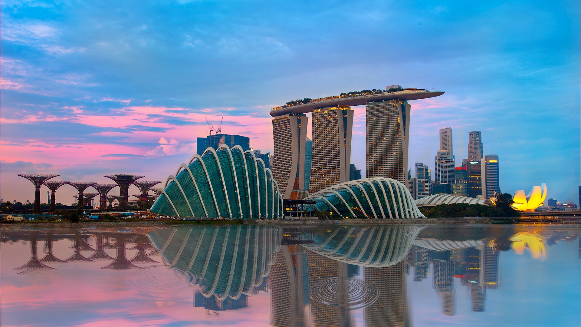 They are set in the heart of Singapore new downtown Marina Bay, encircling the Marina Reservoir like a green necklace. The Gardens will complement the array of attractions around Marina Bay.