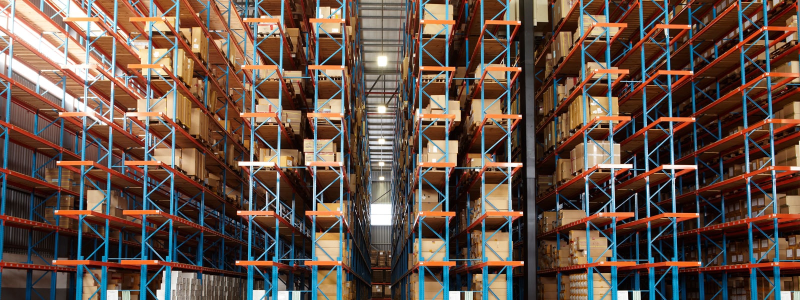 Supply Chain and Procurement Transformation