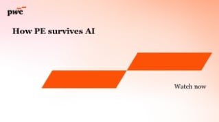 How Private Equity survives AI