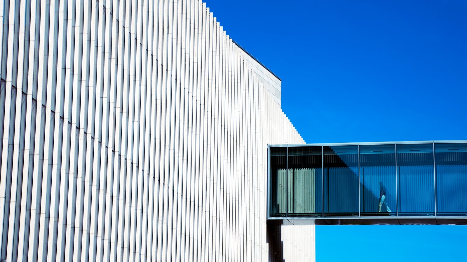 The future-ready CDO:  Architect of the data-driven enterprise  