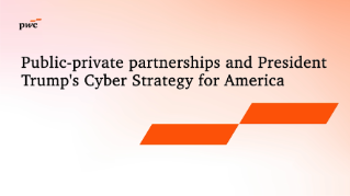Public-private partnerships and President Trump's Cyber